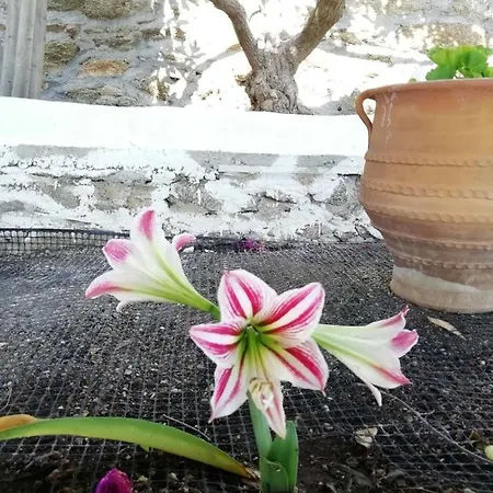 Apartman Seatinview *